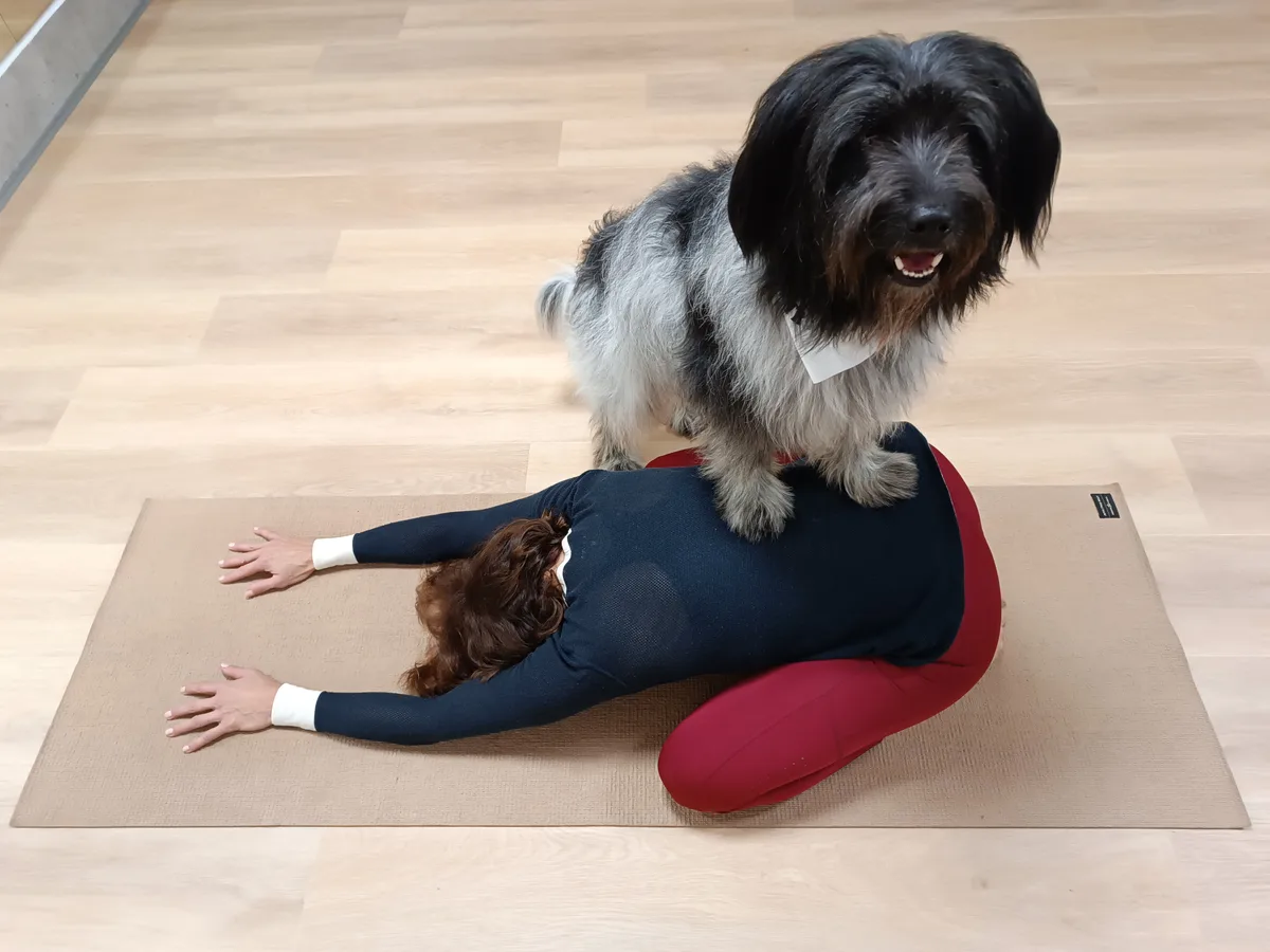 Doga — Tao na chrbte cvičiacej počas skupinovej lekcie